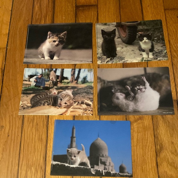 5 Small Plastic Card Folders - Picture 1 of 11